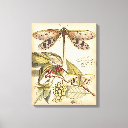 libellen met bladeren en vruchten canvas afdruk (Voorkant)