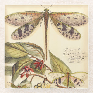 libellen met bladeren en vruchten glazen onderzetter