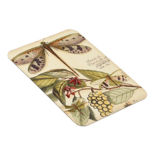 libellen met bladeren en vruchten magneet (Rechterzijde)