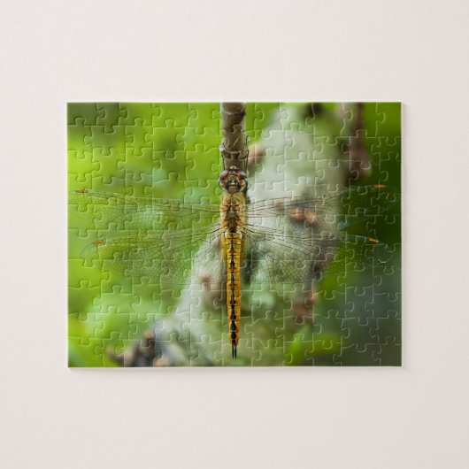libellen - puzzels (Horizontaal)