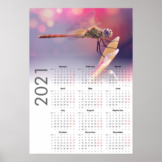 Libellenkalender 2021 Poster - maandag begint (Voorkant)