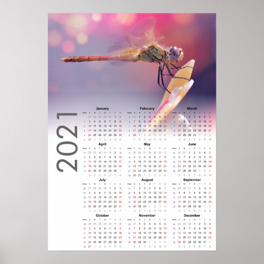 Libellenkalender 2021 Poster - zondag begint (Voorkant)