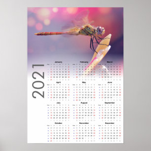 Libellenkalender 2021 Poster - zondag start