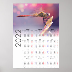 Libellenkalender 2022 Poster - maandag start