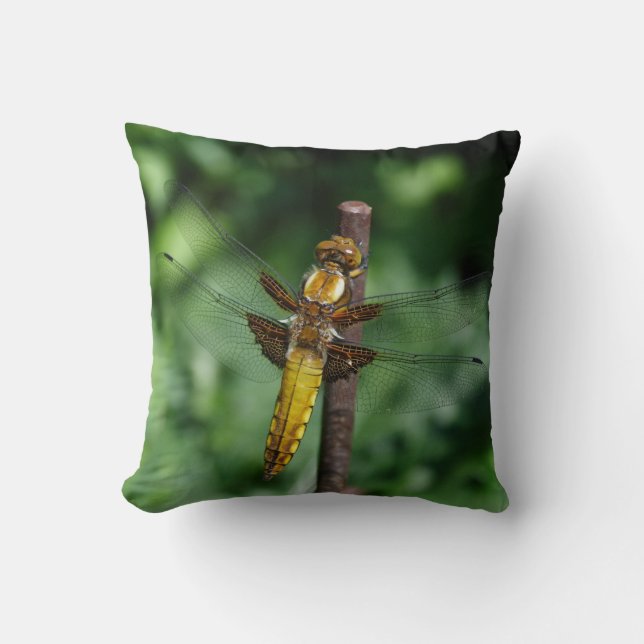 Libellula depressa kussen (Voorkant)