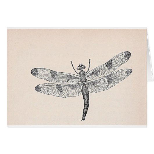 libellule (Devant horizontal)