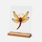 Libellule ange (Angle)