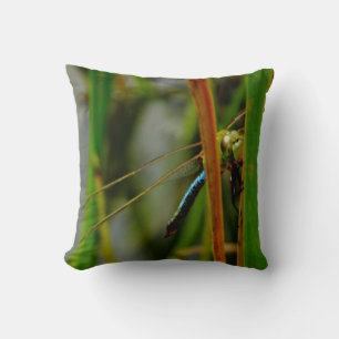 libellule bleue coussin verte, yeux verts
