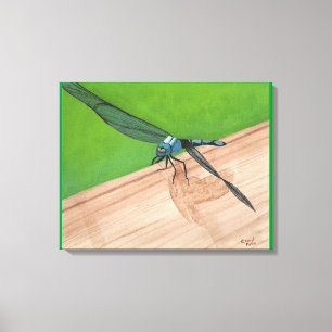 Libellule bleue sur une toile enveloppée de rail