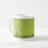 libellule sur la tasse de barbwire, mai vous avez (Devant gauche)