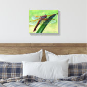 Libellule sur toile de plante d'Aloe vera (Insitu(Chambre))