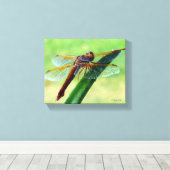 Libellule sur toile de plante d'Aloe vera (Insitu (Plancher de Bois))