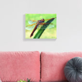 Libellule sur toile de plante d'Aloe vera (Insitu(Salon))