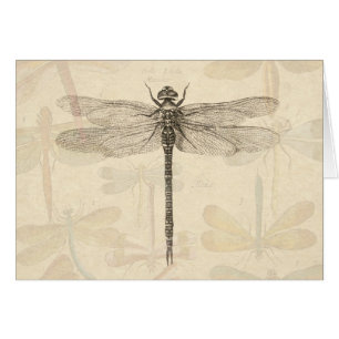 Libellule Vintage Antique Classique Nature