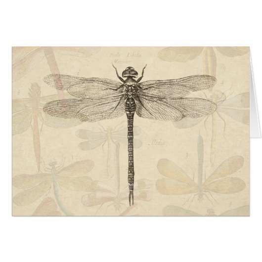Libellule Vintage Antique Classique Nature (Devant horizontal)