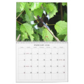 Libellules - gemmes du calendrier de l'air 2013 (Feb 2026)