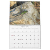 Libellules - gemmes du calendrier de l'air 2013 (Mar 2026)