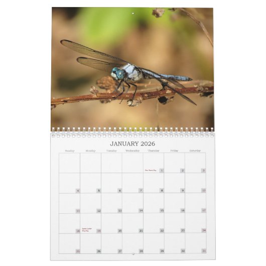 Libellules - gemmes du calendrier de l'air 2013 (Jan 2026)