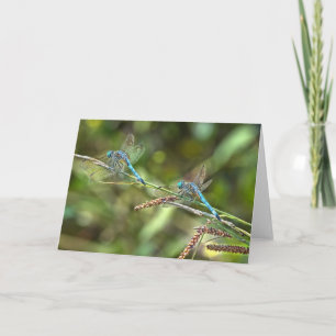 Libellules sur la carte de voeux de branche