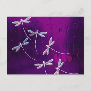 Libellules sur l'eau Carte postale quotidienne