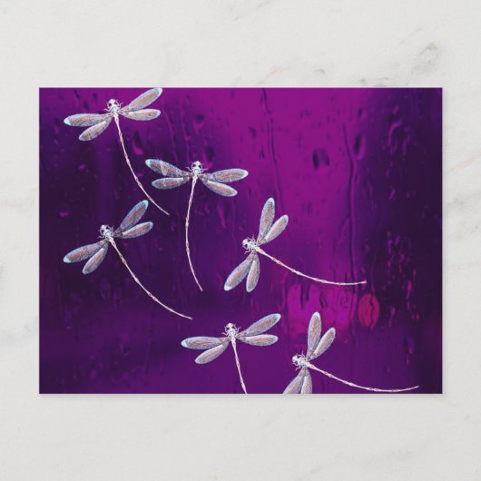 Libellules sur l'eau Carte postale quotidienne (Devant)