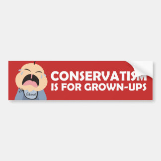 liberaal - democraat die de conservatieve baby hui bumpersticker