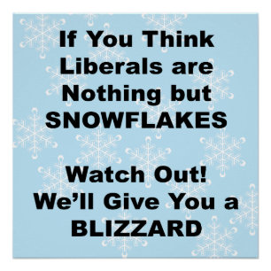 Liberal Blizzard Perfect Poster