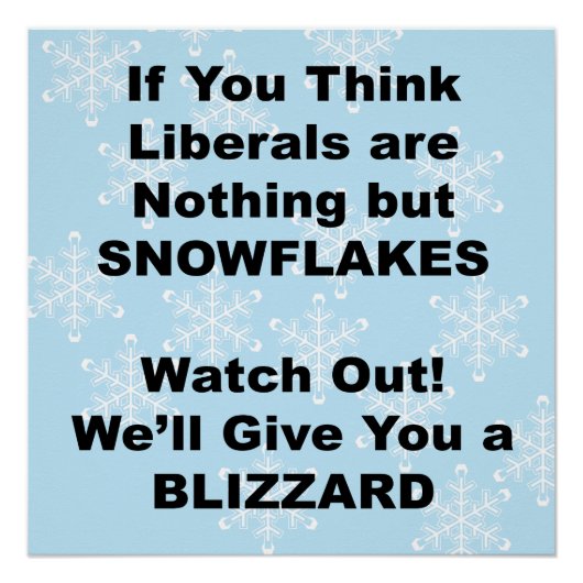 Liberal Blizzard Perfect Poster (Voorkant)