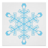 Liberal Snowflake Protest Sign of Poster Perfect Poster (Voorkant)