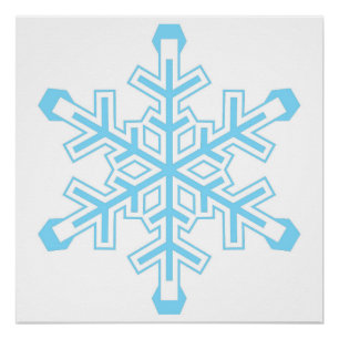 Liberal Snowflake Protest Sign of Poster Perfect Poster