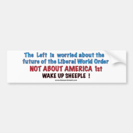 Liberal World Order Bumpersticker