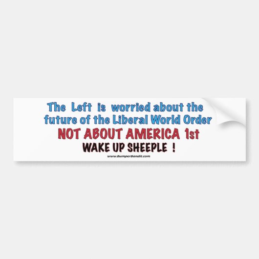 Liberal World Order Bumpersticker (Voorkant)