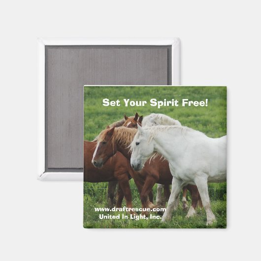 Libérez Votre Esprit ! Magnet (Recto/Verso)