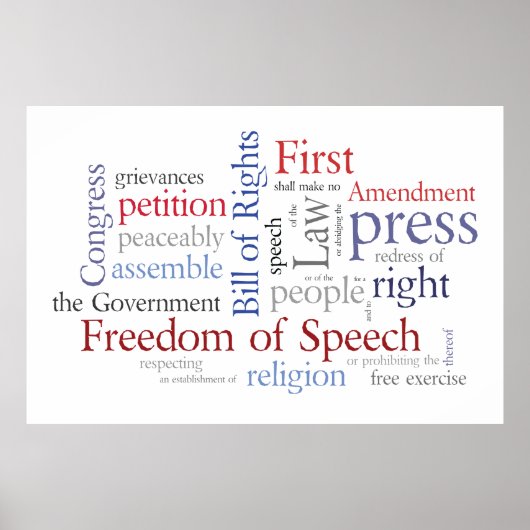 Liberté d'Expression ! Grande affiche de la Déclar (Devant)