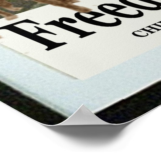 Liberté en marche — Affiche pro-Union (Coin)