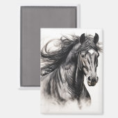 Liberté en mouvement : Magnet Black Horse (Recto/Verso)
