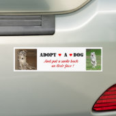 Liberty adopteert een Bumpersticker (Op auto)