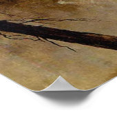 Liberty Cap Yosemite Park Waterval 1873 Poster (Hoek)