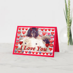 LIBERTY CHIEN STORE DACHSHUND VALENTINE CARTES - C