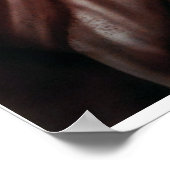 Liberty Decayed Poster (Hoek)