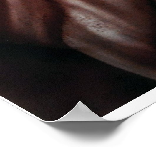 Liberty Decayed Poster (Hoek)