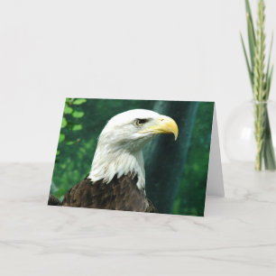 Liberty Kaart