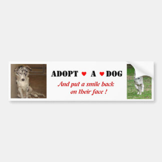 Liberty Kies een hond Bumper Sticker