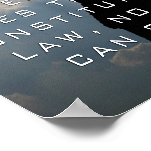 Liberty Poster (Hoek)