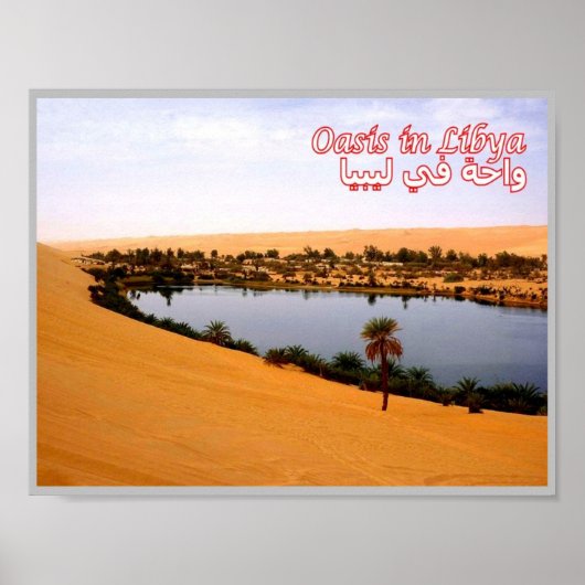 Libië - Oasis - Poster (Voorkant)
