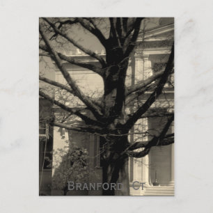 Library, Branford, Ct Postcard Briefkaart