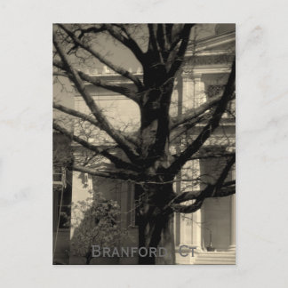 Library, Branford, Ct Postcard Briefkaart