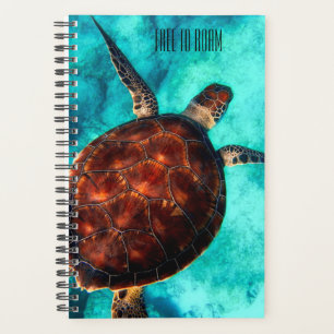 Libre à Roam Seaturtle