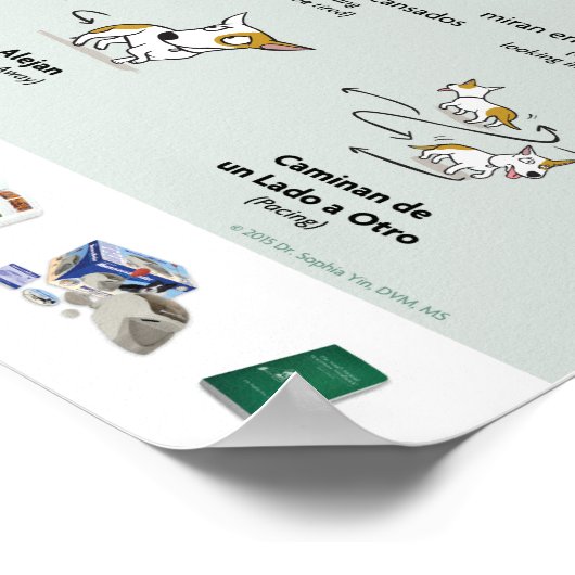 Lichaamstaal voor angst in het Poster Honden (Spaa (Hoek)