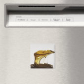 Lichaamswas Magneet (Insitu (Vaatwasser))